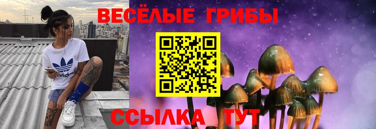 Звенигород  Галлюциногенные грибы Cubensis  где найти   Вход с VPN  Галлюциногенные грибы Psilocybe 